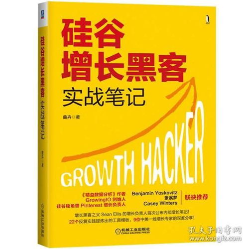 《硅谷增长黑客实战笔记》 互联网时代的增长智慧与实战指南